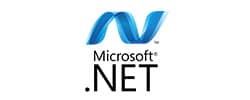 .net development