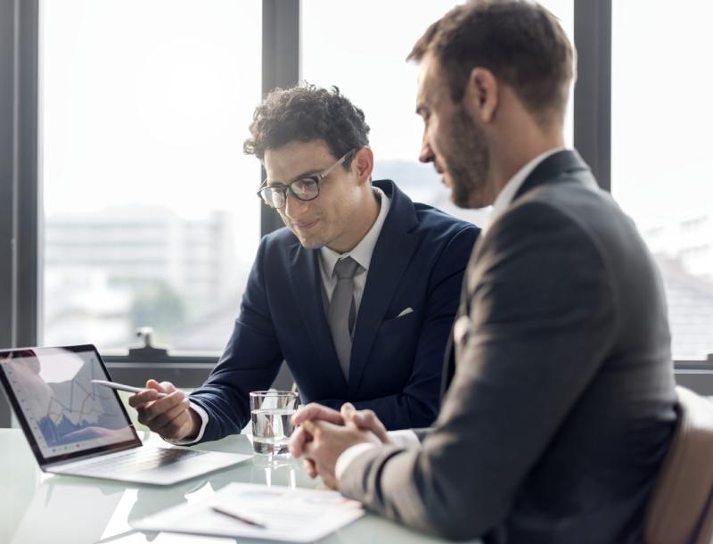 software consulting services